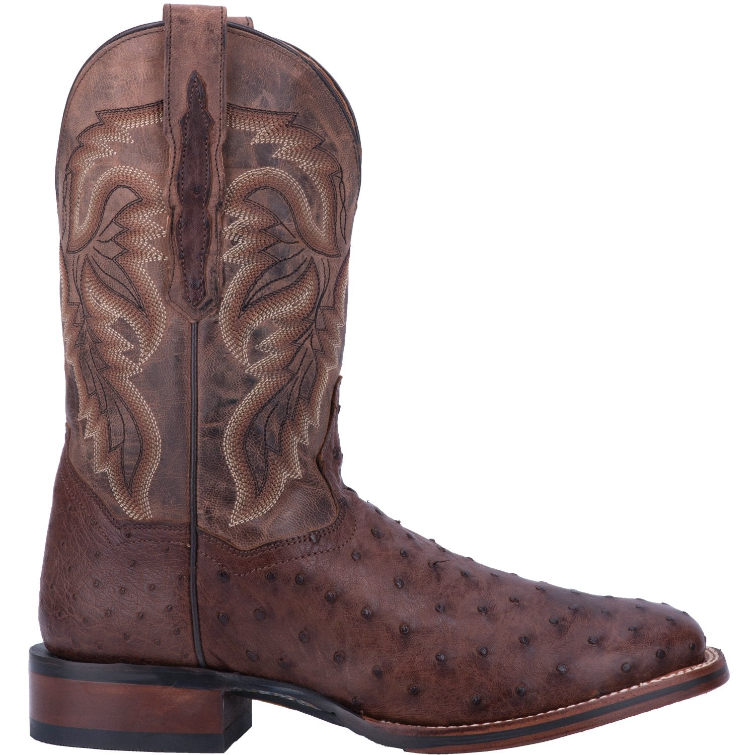 DAN POST COMPANY Men's Alamosa - Chocolate