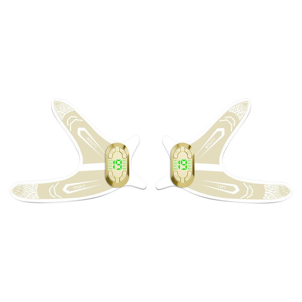 EMS Face Lifting & Tightening Massager