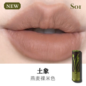 Girlculture Love Talk Matte Lipstick Mist Spring Summer No Makeup Mouth Brown Naked Color Cover Lipstick Pattern Not Easy to Stick to Cup DB image 13