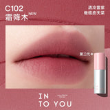 INTO YOU Air Lip Mud