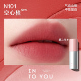 INTO YOU Air Lip Mud