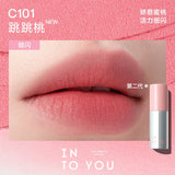 INTO YOU Air Lip Mud