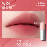 INTO YOU Air Lip Mud
